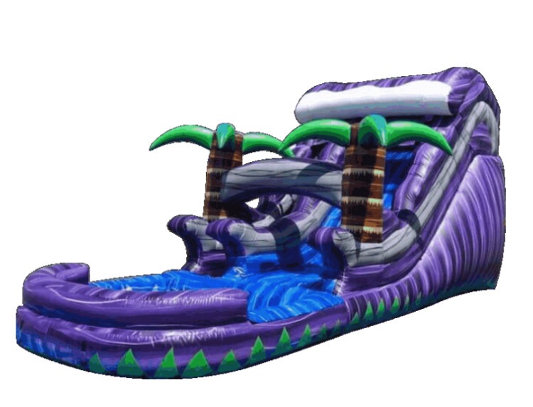 Purple Wave Water Slide