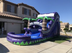 IMG 6819 1724799893 Purple Wave Water Slide